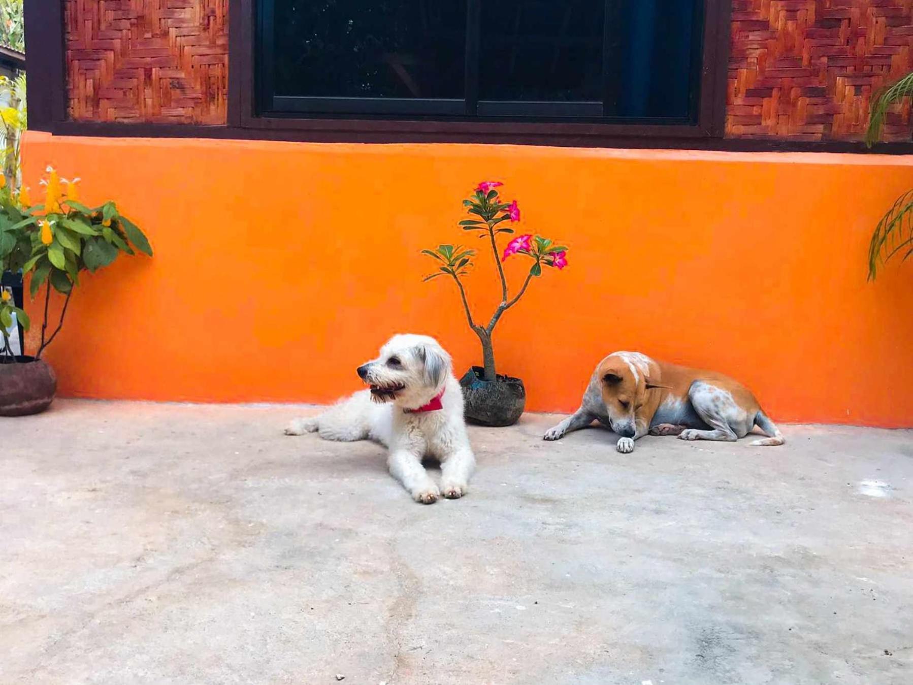 Don Leo'S Bnb Esperanza 外观 照片